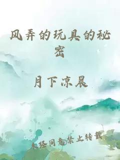 风弄的玩具的秘密
